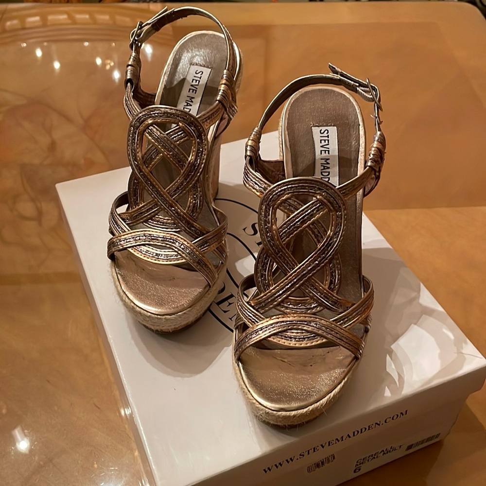 COPY - Beautiful Steve Madden Cereall Metallic Multi-Color Wedge Sandals